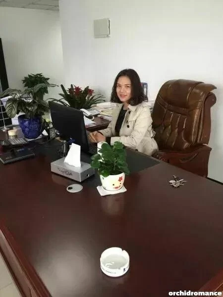 Ting Profile image 3