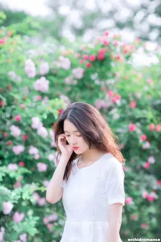 Hong Profile image 1